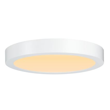 Paulmann 79799 - LED/19W Stropna svetilka CARPO 230V 2300/2500/3000K