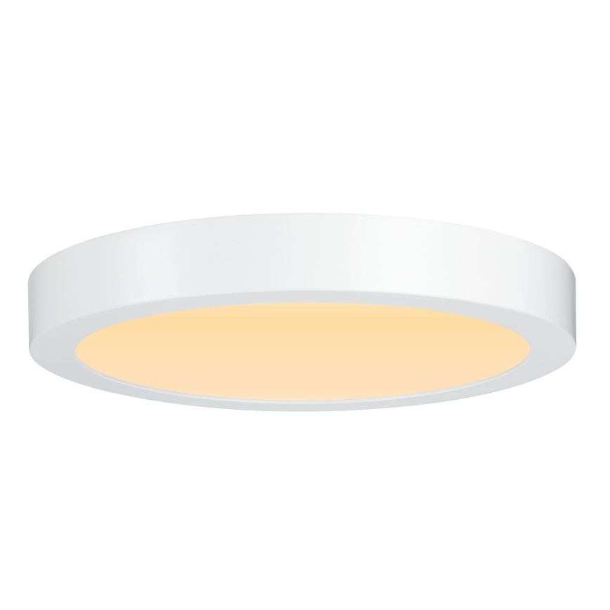 Paulmann 79799 - LED/19W Stropna svetilka CARPO 230V 2300/2500/3000K