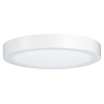 Paulmann 79799 - LED/19W Stropna svetilka CARPO 230V 2300/2500/3000K