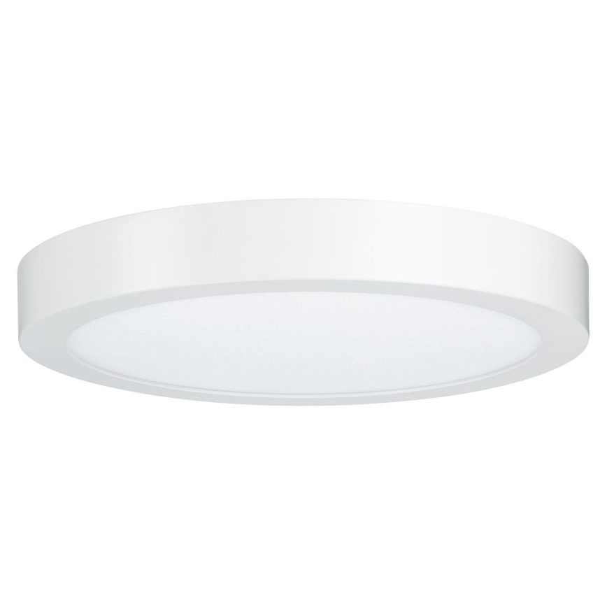 Paulmann 79799 - LED/19W Stropna svetilka CARPO 230V 2300/2500/3000K