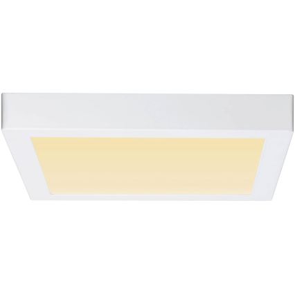 Paulmann 79801 - LED/13W Stropna svetilka CARPO 230V 2300/2500/3000K