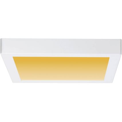 Paulmann 79801 - LED/13W Stropna svetilka CARPO 230V 2300/2500/3000K