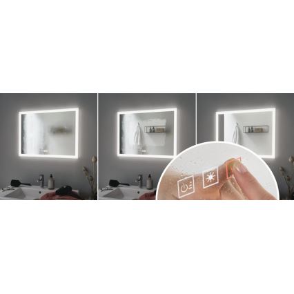 Paulmann 93013 - LED/22W IP44 Kopalniško ogledalo z možnostjo zatemnitve in osvetlitvijo ozadja 230V