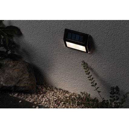 Paulmann 94234 - LED/0,05W IP44 Zunanja solarna svetilka s senzorjem DAYTON 1,2V 400 mAh
