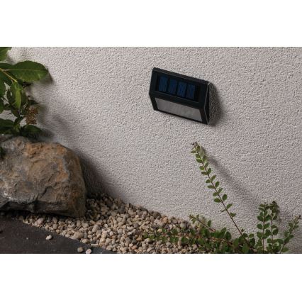 Paulmann 94234 - LED/0,05W IP44 Zunanja solarna svetilka s senzorjem DAYTON 1,2V 400 mAh