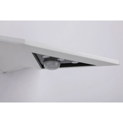 Paulmann 94244 - Solarno stensko LED-svetilo 1,2 W, IP44, s senzorjem YOKO, 3,7 V 1800 mAh, belo