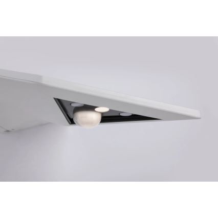 Paulmann 94244 - Solarno stensko LED-svetilo 1,2 W, IP44, s senzorjem YOKO, 3,7 V 1800 mAh, belo