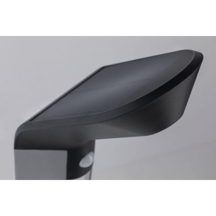 Paulmann 94252 - LED/1,2W IP44 Solarna zunanja svetilka s senzorjem SOLEY 230V