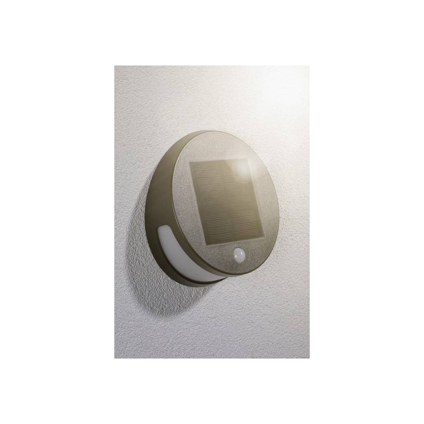 Paulmann 94265 - LED/3W IP44 Zunanja solarna svetilka s senzorjem HELENA 3,7V 1800 mAh