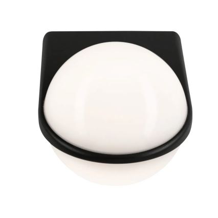 Paulmann 94401 - LED/10W IP44 Zunanja stenska svetilka KROGLA 230V