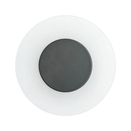 Paulmann 94409 - LED/4W IP44 Zunanja stenska svetilka CIRCEA 230V