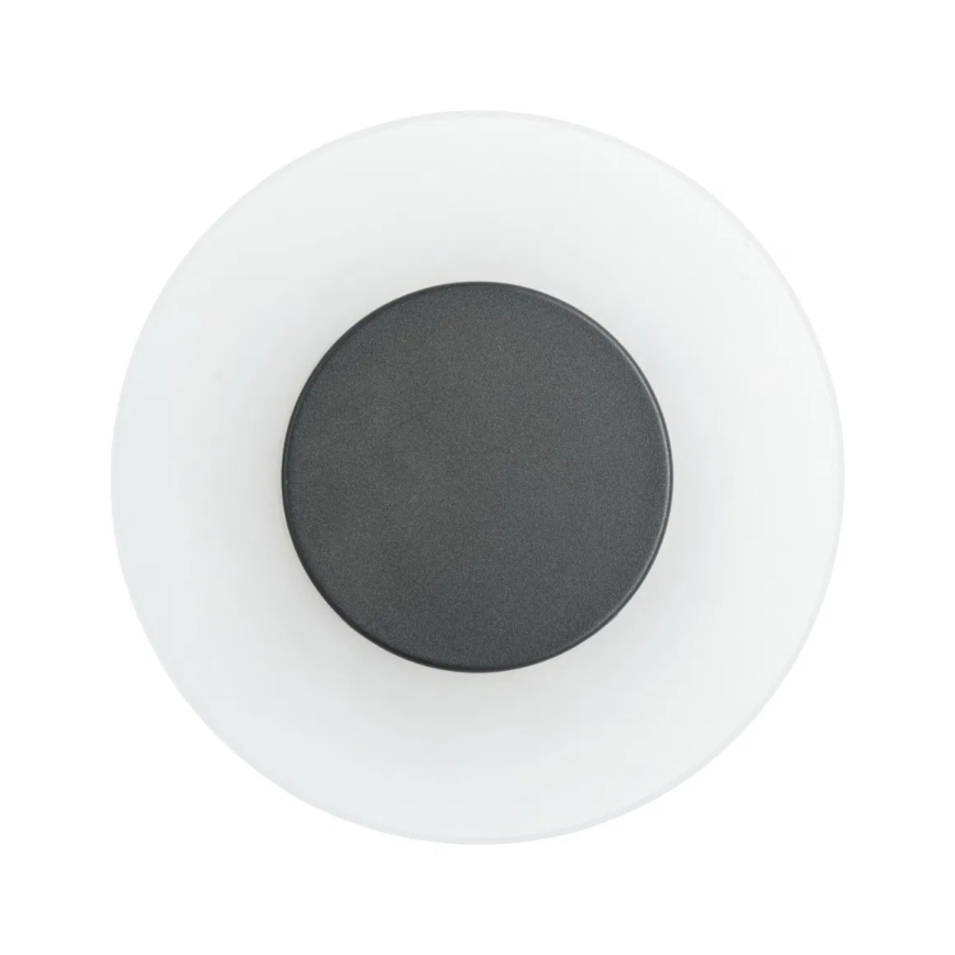 Paulmann 94409 - LED/4W IP44 Zunanja stenska svetilka CIRCEA 230V