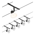 Paulmann 94450 - Komplet 5xGU5,3/10W Popoln kabelski sistem SHEELA 230V črna