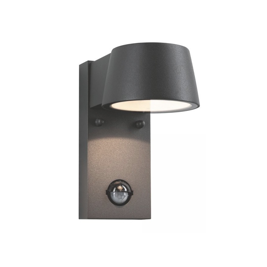 Paulmann 94453 - LED/6W IP44 Zunanja stenska svetilka s senzorjem CAPEA 230V