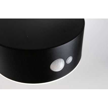 Paulmann 94570 - LED/5,5W IP44 Solarna stenska svetilka s senzorjem EILEEN 3,7V 2000 mAh