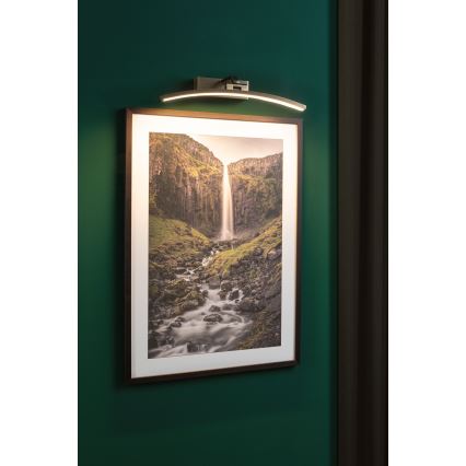 Paulmann 95560 - LED/8,5W Svetilo za slike BENTO 230V 40 cm medenina