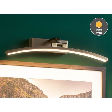 Paulmann 95560 - LED/8,5W Svetilo za slike BENTO 230V 40 cm medenina