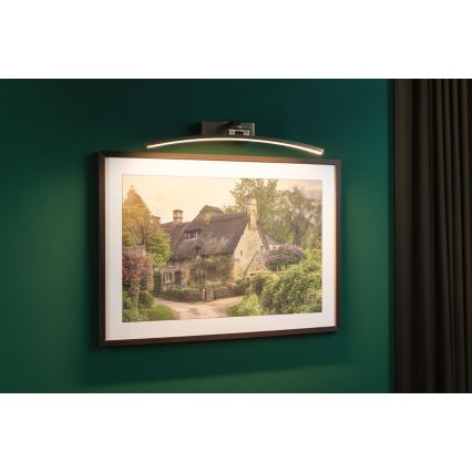 Paulmann 95561 - LED/10W Svetilka za slike BENTO 230V 50 cm medenina