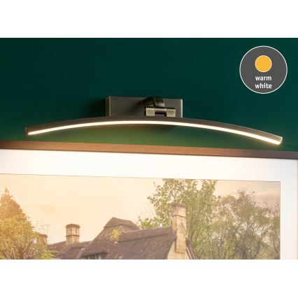 Paulmann 95561 - LED/10W Svetilka za slike BENTO 230V 50 cm medenina