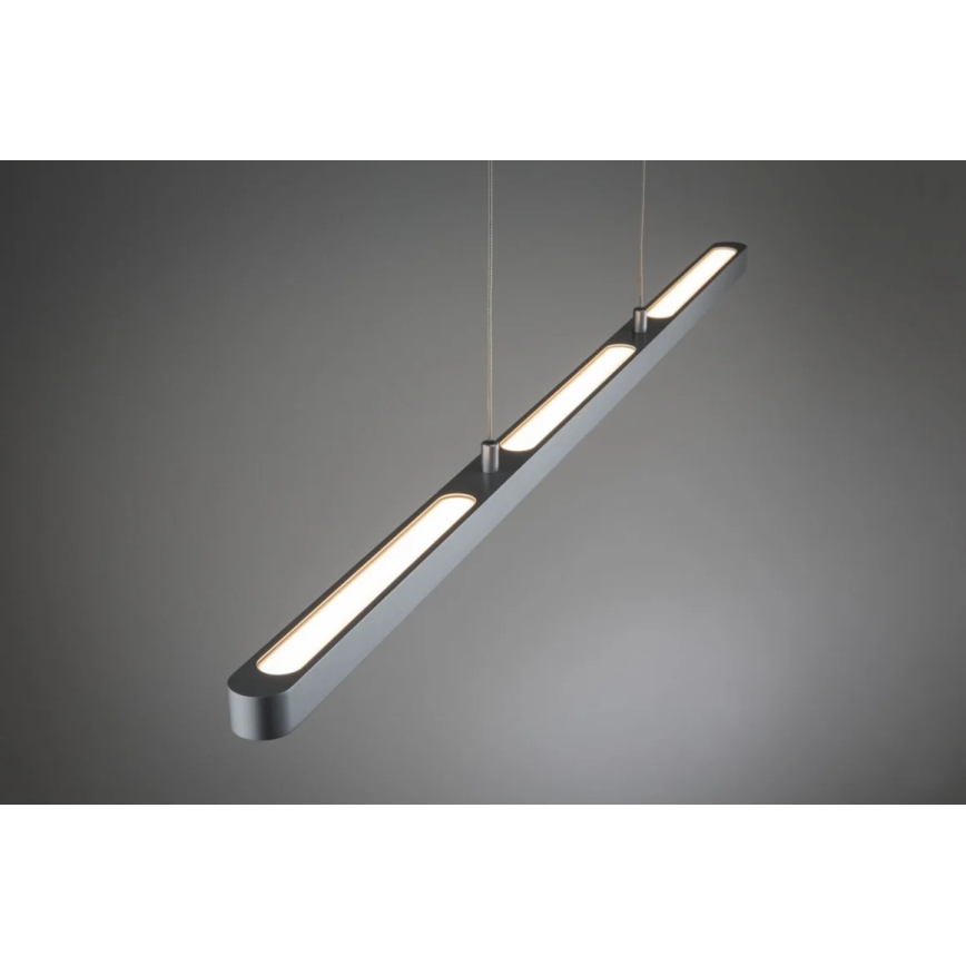Paulmann 95578 - LED/40W Zatemnitveni lestenec na vrvici URAIL LENTO 230V 2700-6500K