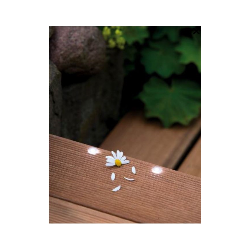 Paulmann 98891 - SET 5X LED/0,16W IP67 Zunanja vgradna svetilka MICRO 230V