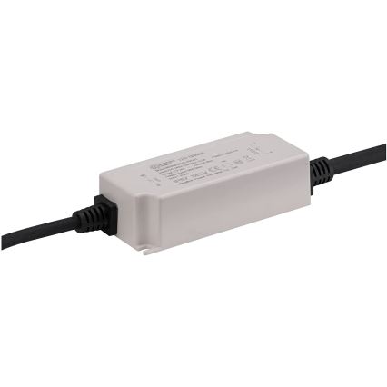 Paulmann - Napajalnik PLUG & SHINE 30W/24V IP67