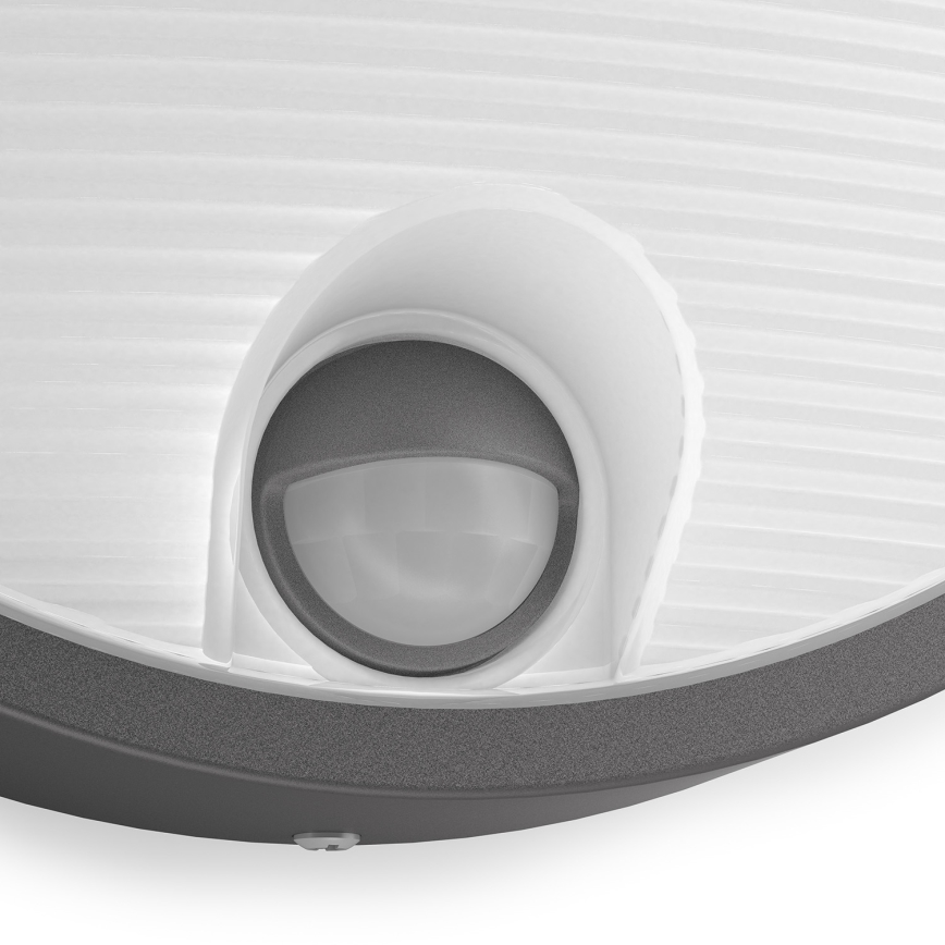 Philips - LED Zunanja svetilka s senzorjem LED/6W IP44