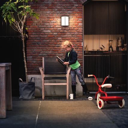 Philips - LED zunanja stenska svetilka LED/6W IP44