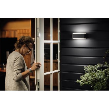 Philips - LED Zatemnitvena zunanja svetilka 2xLED/4,5W IP44