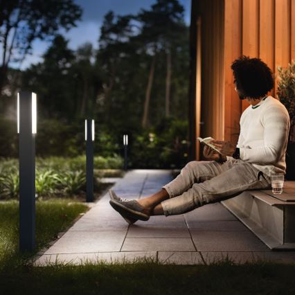 Philips 16489/93/P3 - Zunanja stebrna luč MYGARDEN STRATOSPHERE 2xLED/4,5W