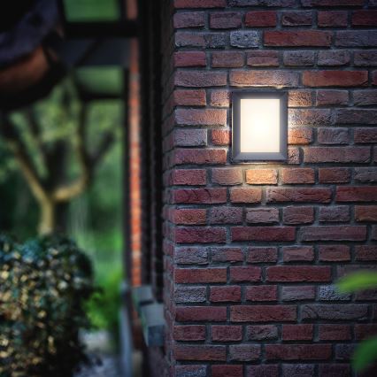 Philips - Zunanja stenska LED svetilka/6W/230V IP44