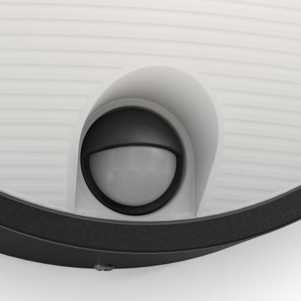 Philips - LED zunanja stenska svetilka s senzorjem LED/6W/230V IP44