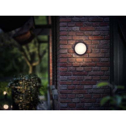 Philips - LED Zunanja svetilka 1xLED/3,5W IP44