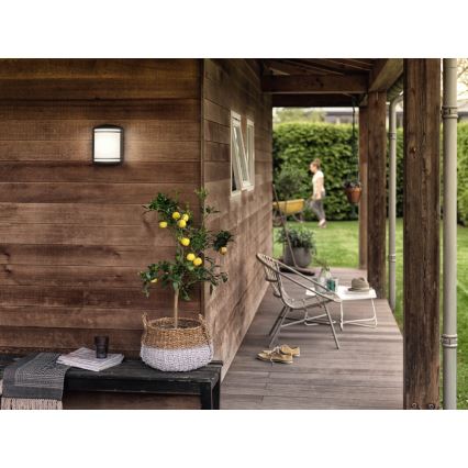 Philips - Zunanja stenska svetilka LED/6W/230V IP44