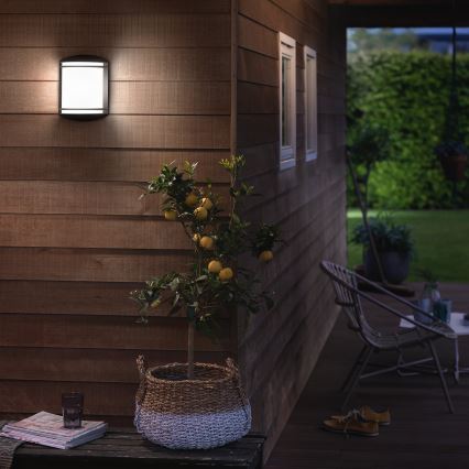 Philips - Zunanja stenska svetilka 1xLED/6W/230V IP44