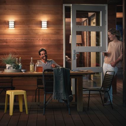 Philips - Zunanja stenska svetilka LED/6W/230V IP44