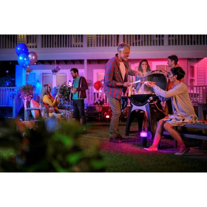 Philips 17415/30/P7 - LED RGB Zunanji reflektor HUE LILY LED/8W/230V IP65