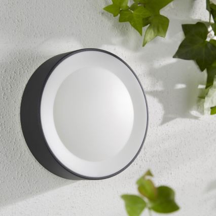 Philips - LED RGBW Zatemnitvena zunanja stenska svetilka Hue DAYLO LED/15W/230V 2000-6500K IP44