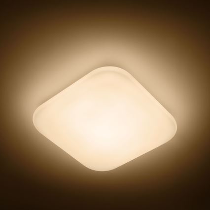 Philips - LED stropna svetilka LED/17W/230V 2700K