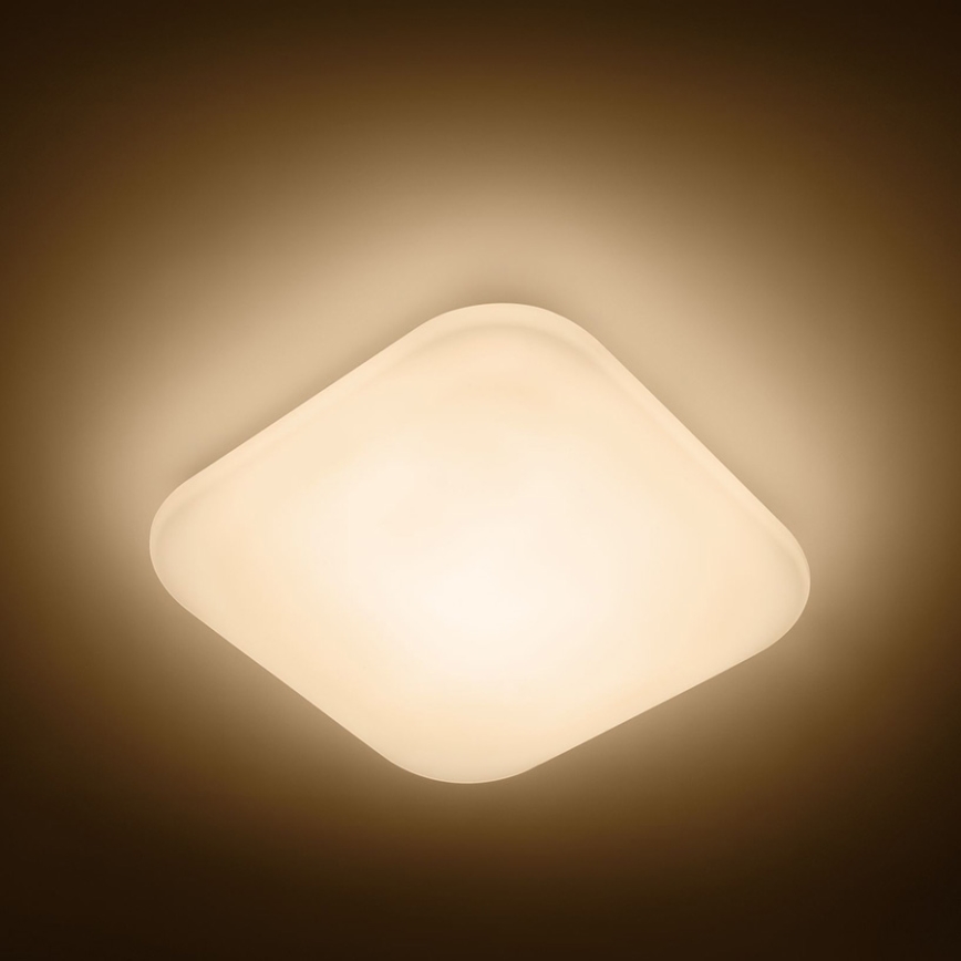 Philips - LED stropna svetilka LED/17W/230V 2700K