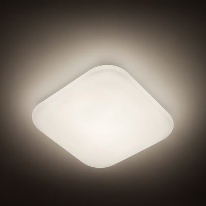Philips - LED stropna svetilka LED/17W/230V 4000K