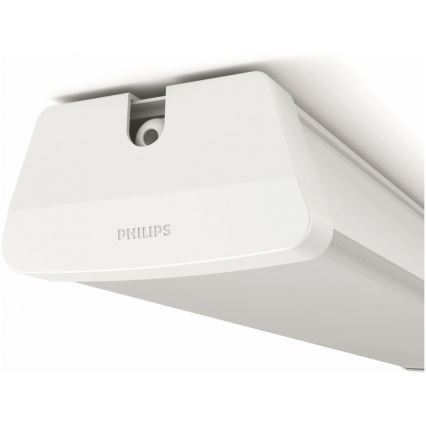 Philips - LED Tehnična svetilka LED/50W/230V IP65 4000K