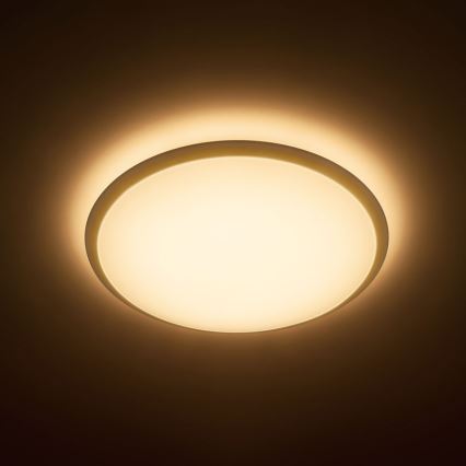 Philips - LED stropno svetilo LED/20W/230V