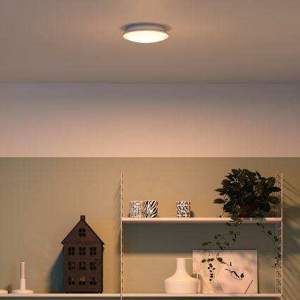 Philips 32096/31/P0 - Stropna svetilka MYLIVING MAUVE 4xLED/2,5W/230V