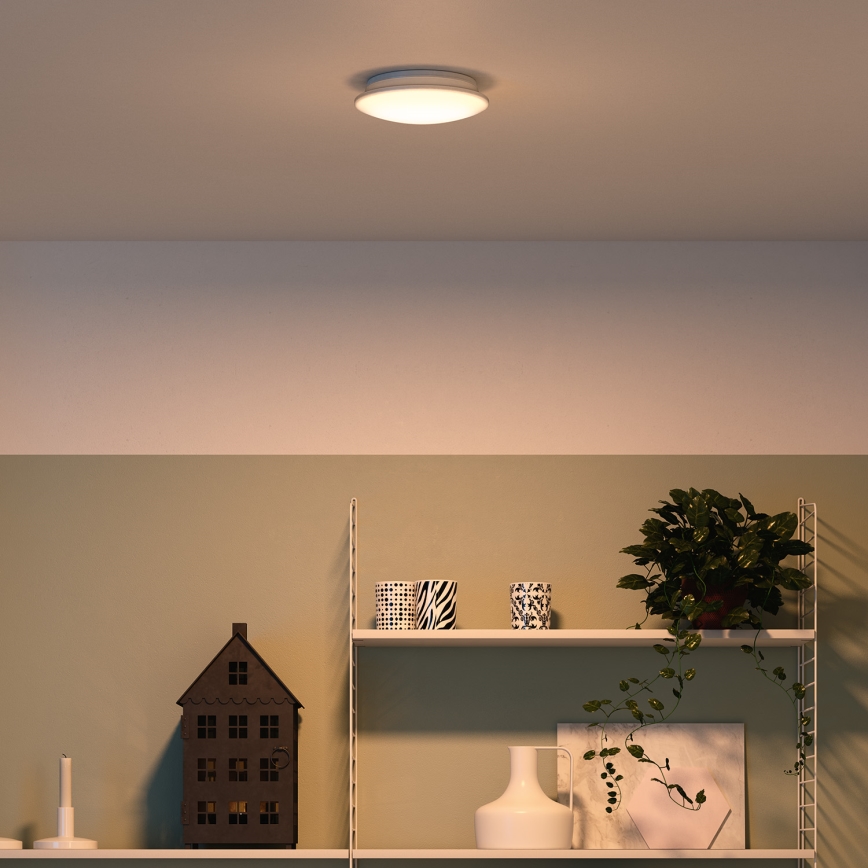Philips 32096/31/P0 - Stropna svetilka MYLIVING MAUVE 4xLED/2,5W/230V