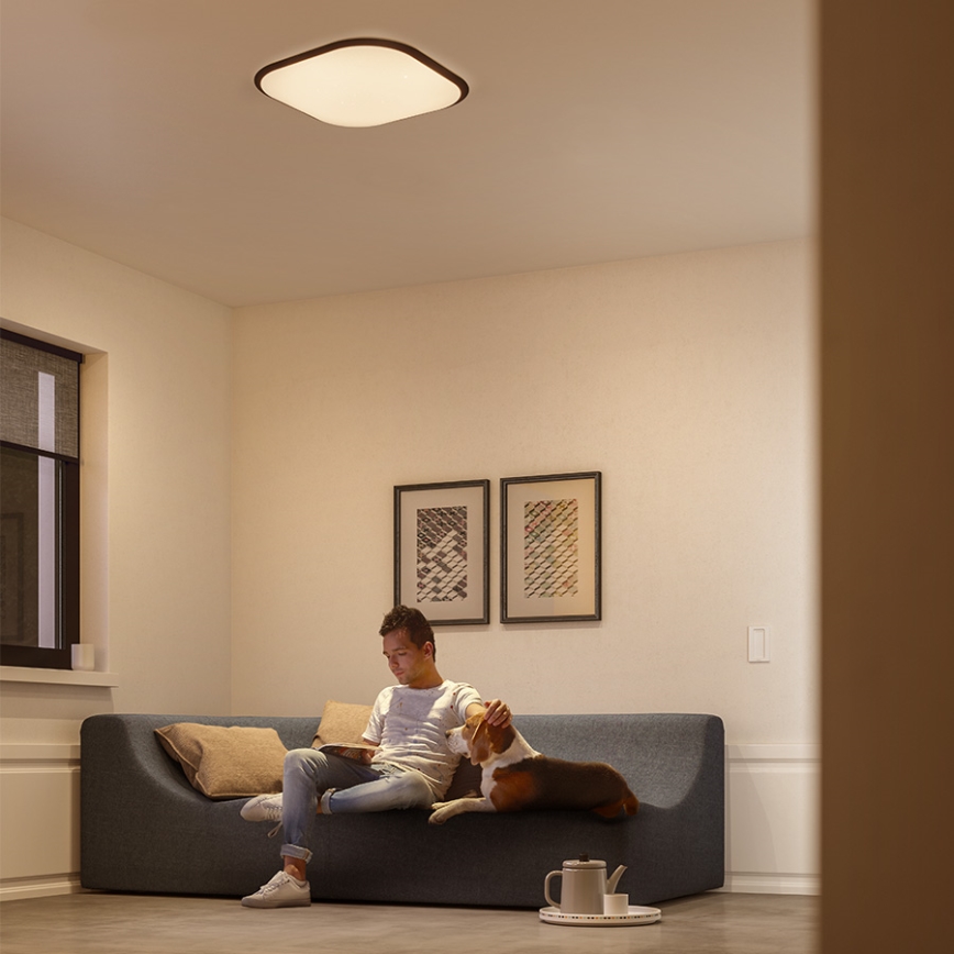 Philips 32810/31/P0 - LED Zatemnitvena stropna svetilka CANAVAL LED/18W/230V
