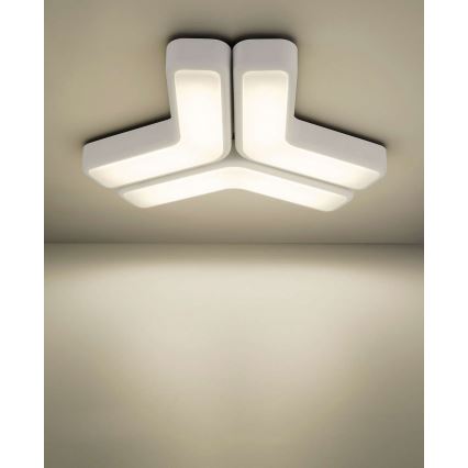 Philips 33100/31/16 - Svetilka stenska MYLIVING PLAYFUL 2x2G7/11W bela