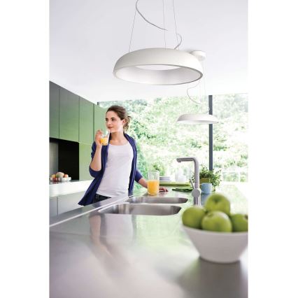 Philips 40233/48/16 - Obesna svetilka MYLIVING AMAZE 1x2GX13/60W/230V