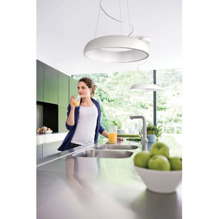 Philips 40233/48/16 - Obesna svetilka MYLIVING AMAZE 1x2GX13/60W/230V