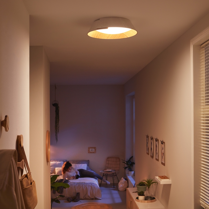 Philips 49020/31/P1 - LED stropna svetilka INSTYLE NONAGON 1xLED/10W/230V
